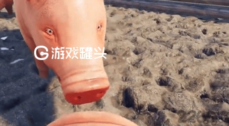 小猪模拟器中文版